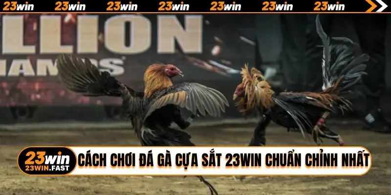 Cách chơi đá gà cựa sắt 23WIN chuẩn chỉnh nhất