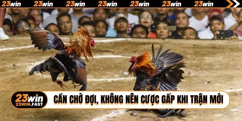 Cần chờ đợi, không nên cược gấp khi trận mới