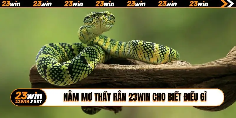 Nằm mơ thấy rắn 23WIN cho biết điều gì