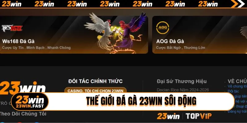 Thế giới đá gà 23win sôi động và máu lửa